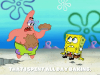 season 5 GIF by SpongeBob SquarePants