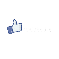 firmamentomusic fano Sticker