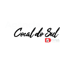 Sticker by Duda Imóveis
