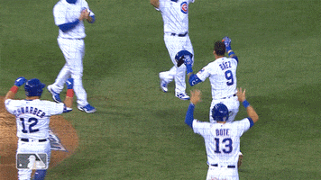 Regular Season Sport GIF by MLB