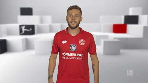 1 Fsv Mainz 05 Reaction GIF by Bundesliga
