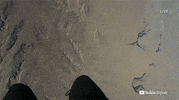 Look Up David Blaine GIF by YouTube