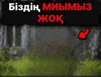 Қазақша Мемдер GIF