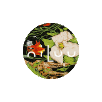niluusilksense peta approved niluu vegan silk niluusilk Sticker