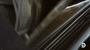 Cash Money Win GIF by Discovery