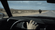 says johnny depp GIF