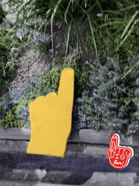 Number 1 Finger GIF