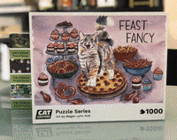 GIF by Your Cat Backpack Travel Cat