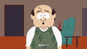 asking living room GIF by South Park 
