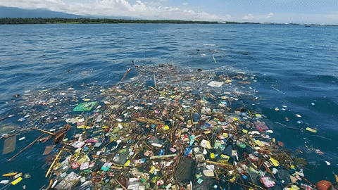 Earth Day GIF by 4ocean