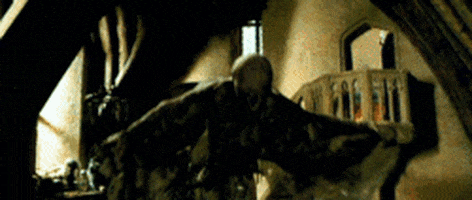 harry potter GIF