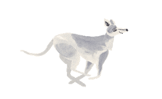 Run Fetch Sticker by vres