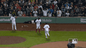 High Five Major League Baseball GIF by MLB