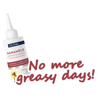 Refresh Delight Sticker by Olival Cosmetics