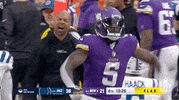 Minnesota Vikings Football GIF by NFL