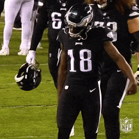 Flying Regular Season GIF by NFL