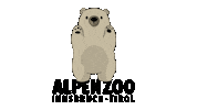 Alpenzoo bar alpenzoo braunbär alpentiere Sticker