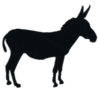 Elsueñodelasalapropia Sticker by Cine CCC