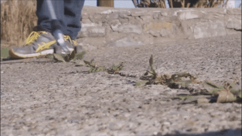 GrabYoursTODAY giphyupload GIF