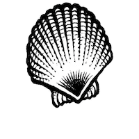 Beach Ocean Sticker by Desnuda Tequila