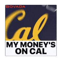 Uc Berkeley California Sticker by Bovada
