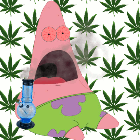 kush GIF