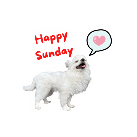 Happy Sunday Dog Sticker by Romeo Mama Bandana Store