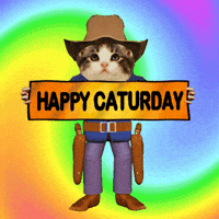 Dog Day Saturday GIF
