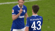 Mark Uth Football GIF by FC Schalke 04