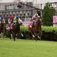 TwinSpires  GIF