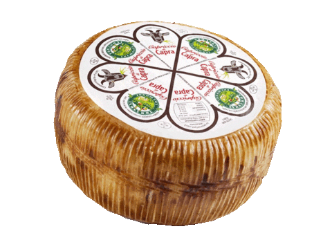 Formaggitomasoni giphyupload formaggio formaggi tomasoni Sticker