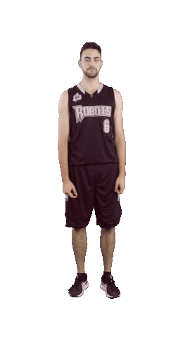 Proud Basketball Sticker by ACSL - Austrian College Sports League