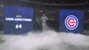 Sport Baseball GIF by MLB