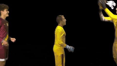 Cuc19 D3Soc GIF by CUCougars