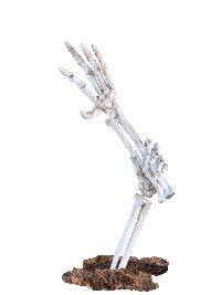 Stop Motion Hello Sticker