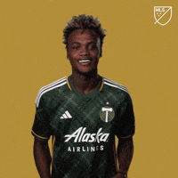 Lets Go Yes GIF by Major League Soccer