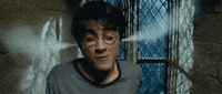 giffoni_experience  GIF