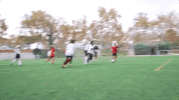 new for you GIF by Hinds