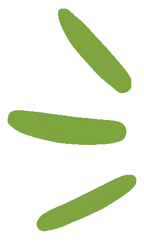 Verde Highlights Sticker by pandoo