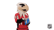 Ice Hockey Reaction GIF by NHL