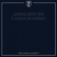 GIF by Club Melilla Baloncesto