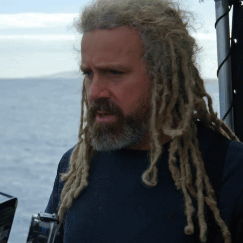 What Could Go Wrong? 