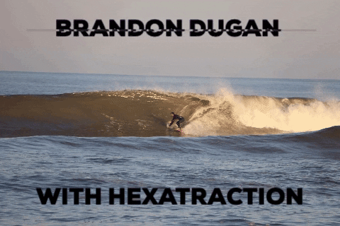 Hexatraction Waxlesssurfing GIF by RSPro