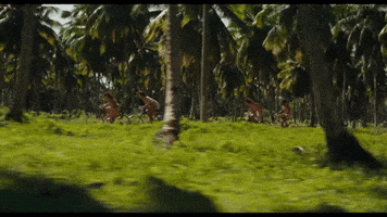 Punk Rock Film GIF by Los Frikis Movie