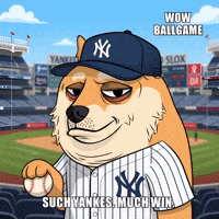 New York Yankees Wow GIF by Doge Pound