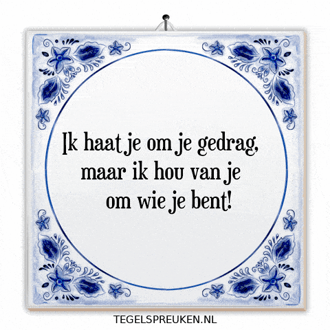 Nl Spanning GIF by Tegelspreuken.nl