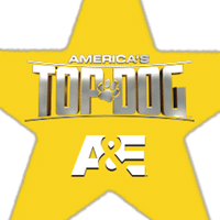 Gold Star Dog Sticker by A&E