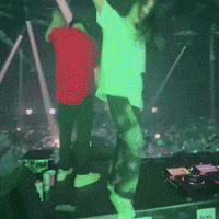 Front To Back Alley Cat GIF