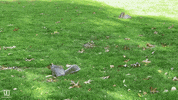 People Hello GIF by InnovatorsBox