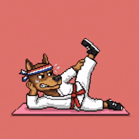 Dog Fitness GIF by SkyDog Social